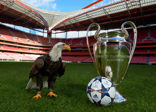 才能保证比 才能保证比