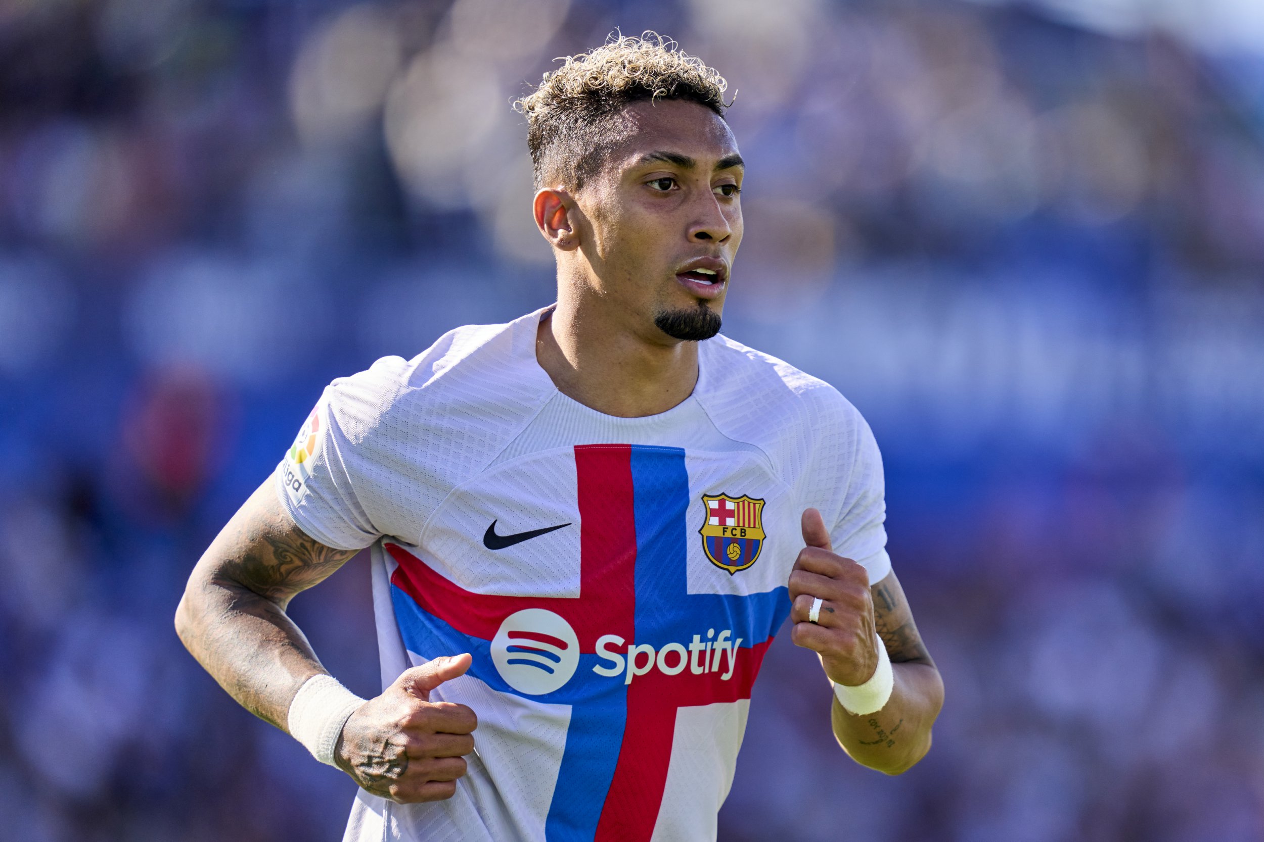 更是为了丰 更是为了丰