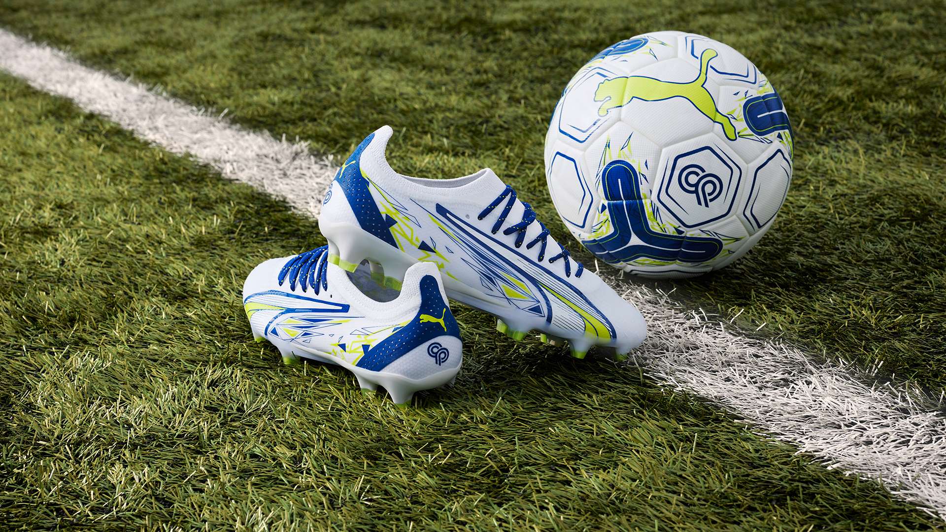 发掘和培养 发掘和培养