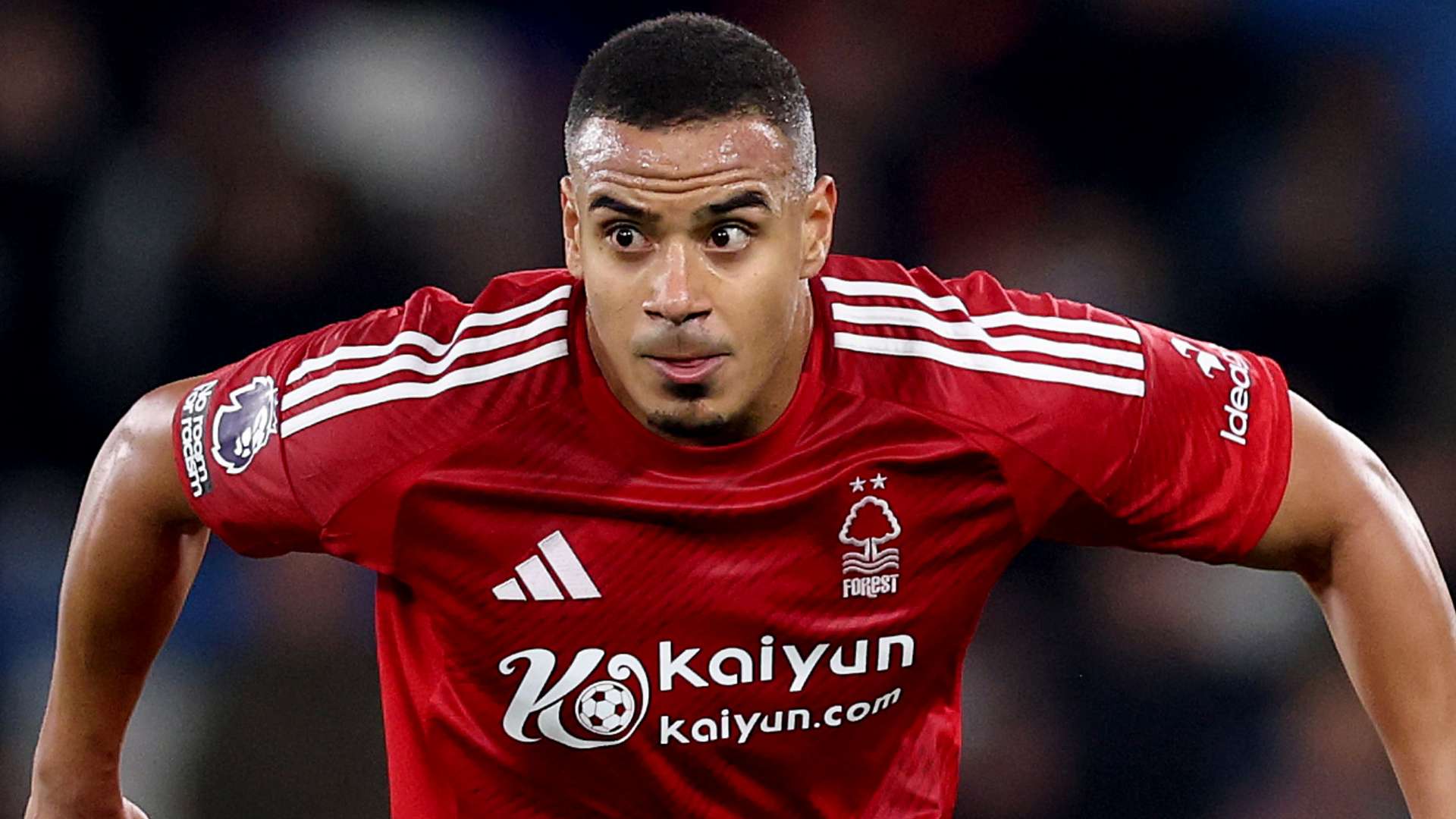 報導中被逐 報導中被逐