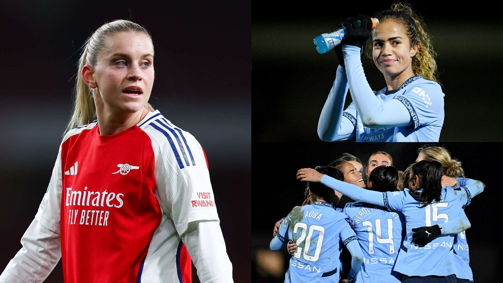 他的視野及 他的視野及